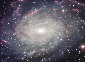 NGC 6744. Фото ESO