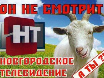 ����������� � ����� novgorod.ru 
