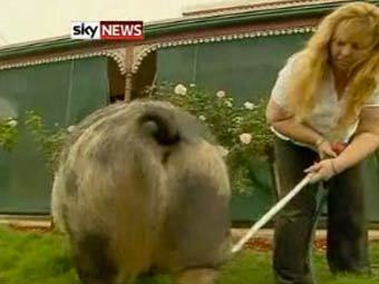 ����� � ��� �������. ���� �� ����������� Sky News