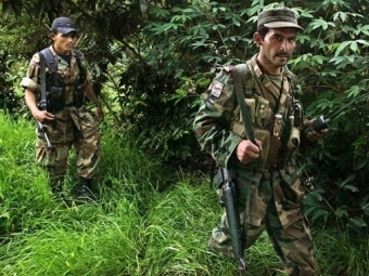 Боевики FARC. Фото (c)AFP Боевики FARC. Фото (c)AFP