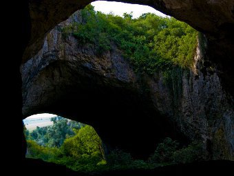 ������ ���������, ���� � ����� wikipedia.org ������������ Nikola.grancharov