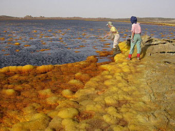 Туристы в Эфиопии. Фото (c)AFP Туристы в Эфиопии. Фото (c)AFP