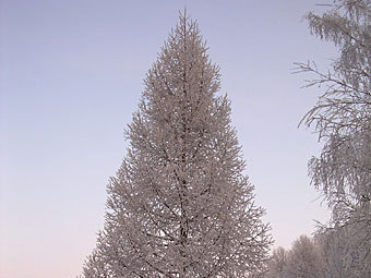 �����������. ���� � ����� academic.ru