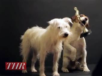 ���� ����������� � ����� The Hollywood Reporter