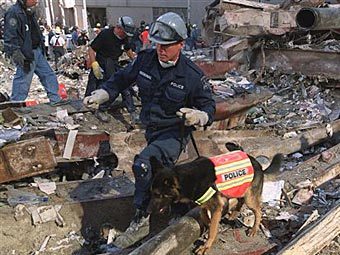 Полицейские на месте теракта 11 сентября 2001 года. Архивное фото ©AFP