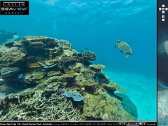 Скриншот сайта catlinseaviewsurvey.com Скриншот сайта catlinseaviewsurvey.com