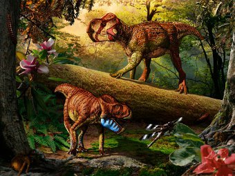 Unescoceratops koppelhusae.   