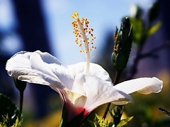 �������� �� ��������� ���������. ���� <a href=http://www.flickr.com/photos/doug88888/with/3667752229/ target=_blank>Flickr/Doug88888's</a>