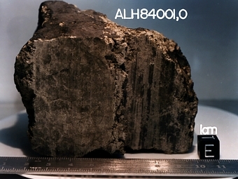 Марсианский метеорит ALH84001 возрастом 4,5 миллиарда лет. Фото NASA/JSC/Stanford University