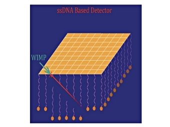 Схема работы ДНК-детектора темной материи. Изображение из статьи Drukier et al.