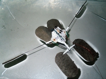 Робот-водомерка. Фото Zhao et al.