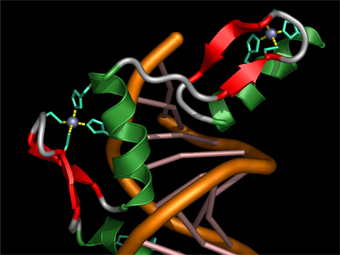   -      .    http://web.chem.ucsb.edu