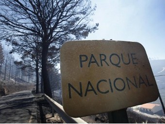 Парк Гарахонай во время пожара. Фото (c)AFP Парк Гарахонай во время пожара. Фото (c)AFP