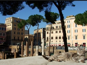 Площадь Арджентина в Риме. Фото Gabriele Venditti