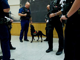 Полицейские в аэропорту Хитроу. Фото (c)AFP Полицейские в аэропорту Хитроу. Фото (c)AFP