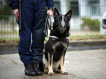 Фото из архива (c)AFP Фото из архива (c)AFP