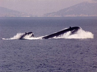Tipo de proyecto 209 submarinos diesel-eléctricos. Foto de denizaltici.com