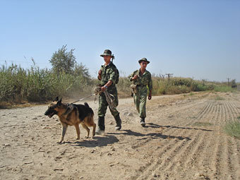 Таджикско-афганская граница. Фото РИА Новости, Хушнуд Рахматуллаев
