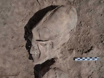 Найденный археологиами удлиненный череп. Фото INAH