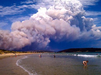Дым от пожара в штате Тасмания. Фото: Joanne Giuliani / Reuters