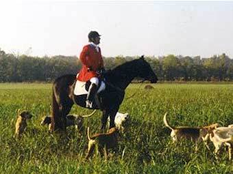 ����� �� ���. ���� � ����� www.unionspringsalabama.com