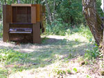 pic004