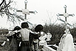 pic035