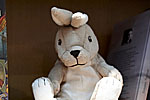 pic049