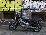 pic010