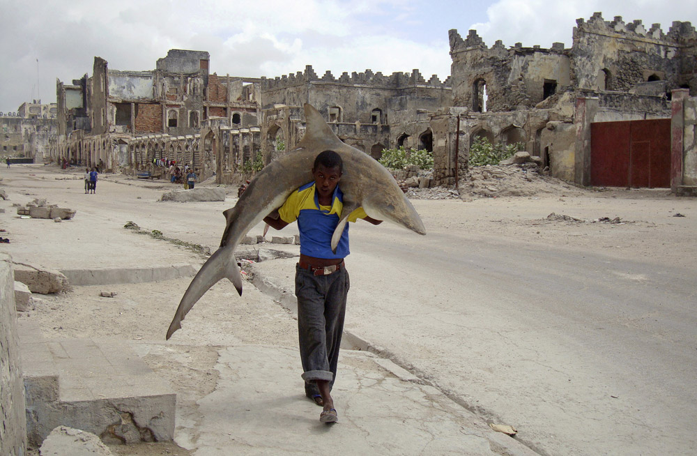 Лучшие фотографии World Press Photo 2011 