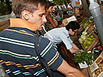 pic033