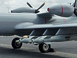 pic006