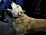 pic009