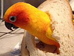 pic017