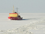 pic005