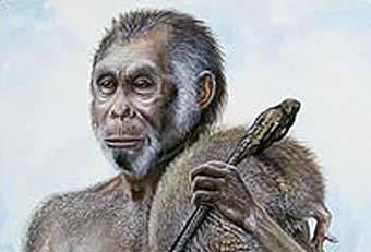 ��������� ��� Homo floresiensis. ����������� � ����� National Geographics
