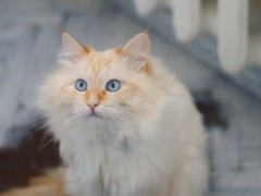 �����