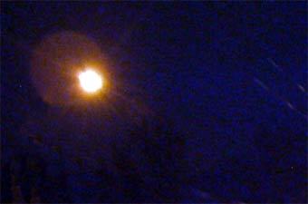 ������������ �������� ������, ������� Lenta.Ru  