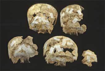 ������, ������������ � �����������. ���� � ����� Wessex Archaeology