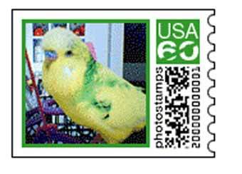 ���� � ����� photo.stamps.com