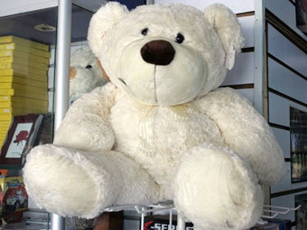 http://img.lenta.ru/news/2007/11/29/teddy/picture.jpg