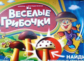 http://img.lenta.ru/news/2009/08/05/merrymushrooms/picture.jpg